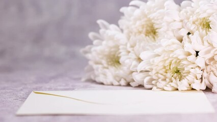 White chrysanthemums on the table