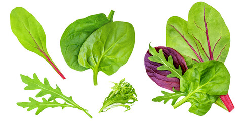 Salad leaves Collection. Isolated Mixed Salad leaves with Spinach, Frisee, Chard, lettuce, rucola on white background. Flat lay. Creative layout. Pattern.