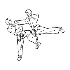 illustration of Taekwondo. Hand drawn. taekwondo vector