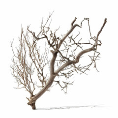 Dry Dead Branch. Generative AI