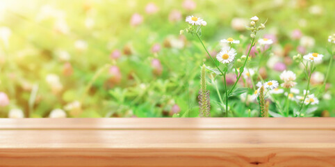 Fototapeta na wymiar Empty wooden table on the background of Summer floral landscape with chamomile flowers and clover in the meadow. Ready for product montage. Mockup. Banner.Copy space.