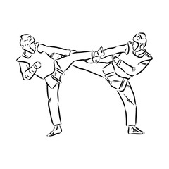 illustration of Taekwondo. Hand drawn. taekwondo vector