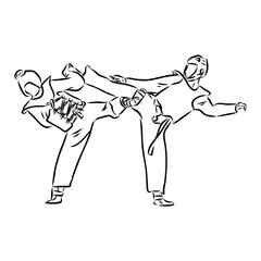 illustration of Taekwondo. Hand drawn. taekwondo vector