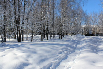 Winter landscape in a city park on a clear sunny bright day.