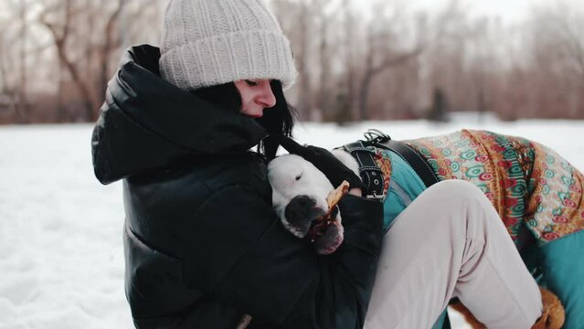 Young caucasian woman in winter clothes sitting in the snow and petting a white pit bull's head while it chewing a stick afternoon in winter outdoor close up. Woman enjoys playing with her dog