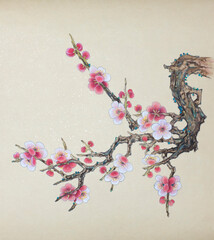 cherry blossom branch - 585410455