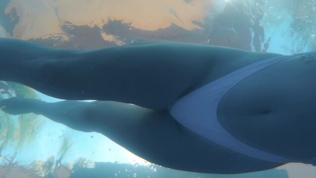 Handsome girl swimming breaststroke in a swimming pool. Underwater footage of female person bathing against sun light in summer. Be healthy lifestyle. Sports and recreation. Film grain pixel texture