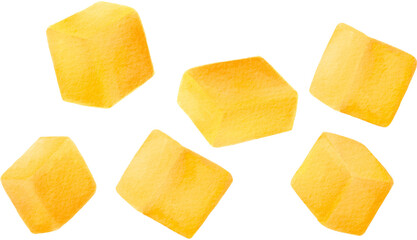 mango slice watercolor