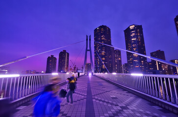 辰巳桜橋と東雲の夜景
