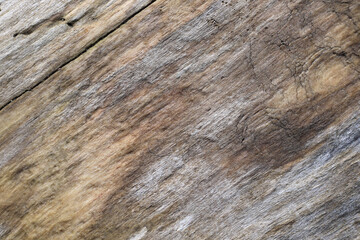 grey and brown natural driftwood background with empty space