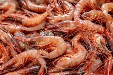 Fresh red prawns, ready to cook