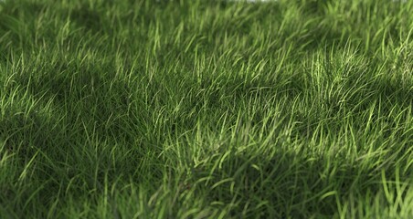 Long blade green grass background, ecology, spring, easter or gardening template element, selective focus
