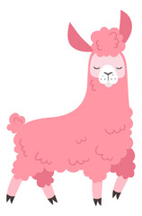 Pink lama. Cute baby girl alpaca character