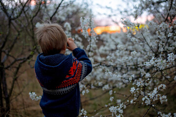 Child, watching amazing sunset with binoculars