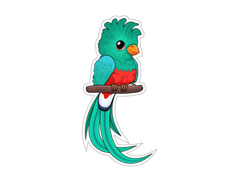 Cute Vector cartoon quetzal bird sticker	