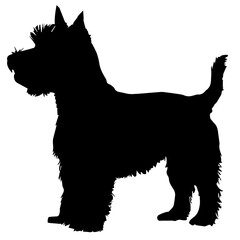 可愛い犬のシルエット ウェスティ