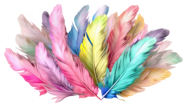 feathers pastel isolated on white