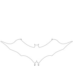 silhouette of a bat
