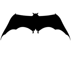 bat