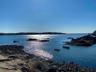 Reflection on the Harbor