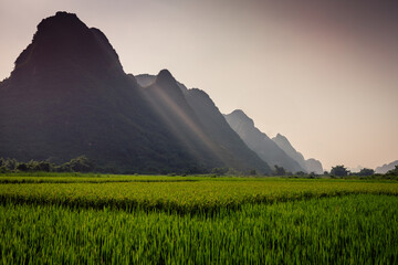 Amazing landscape of rice fields and limestone peaks near Yalong River, Yangshuo, China