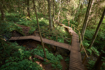Pedestrian wooden eco trails, bridge over sources. Holy springs ecological trail, Minsk district,...