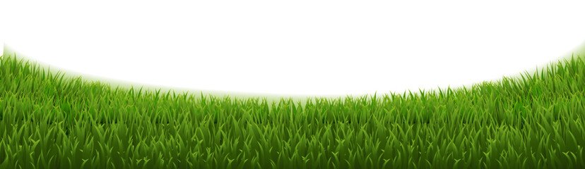 Obraz premium grass frame isolated