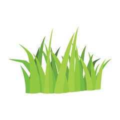 grass vector illustration. green plant in yard.