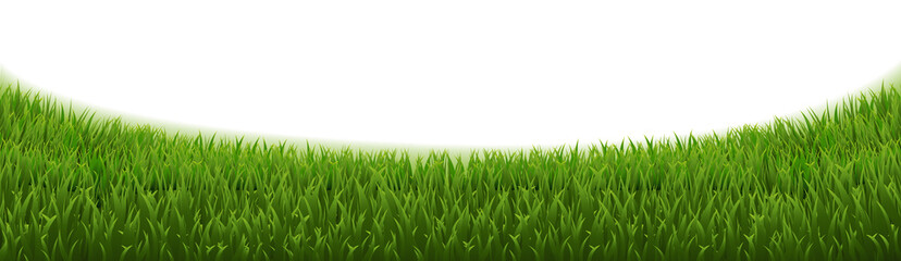 Obraz premium Grass Panorama And Isolated White Banner