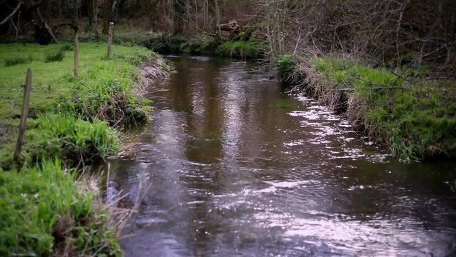 Ruisseau coulant au printemps