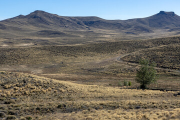Landscape shot of the Argentinian Pampa in the Province Neuquén - Traveling South America