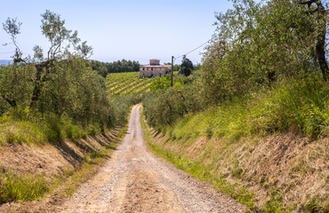 Tuscany spring landscape near San Miniato village - along via Francigena between San Miniato and Gambassi Terme - central Italy