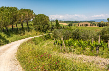 Fototapeta na wymiar Tuscany spring landscape along the historic route Francigena between San Miniato and Gambassi Terme, Tuscany, central Italy - Europe