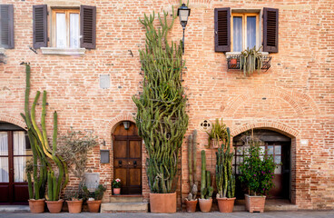 Naklejka premium Gambassi Terme medieval town: characteristic historic building with succulent plants - Gambassi Terme, Firenze province, Tuscany, Italy - june 1, 2021