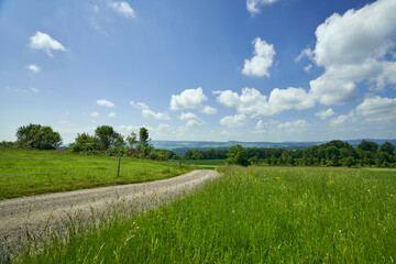 Feldweg im Sommer mit Blick zum Horizont. Blauer Himmel mit einigen Quellwolken