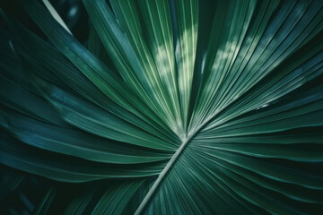 Striped palm leaf abstract green texture background in vintage tone