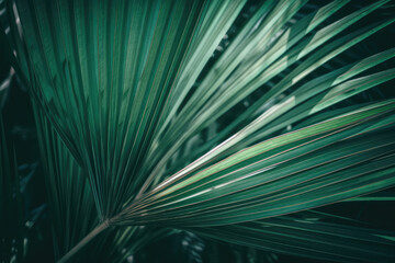 Striped palm leaf abstract green texture background in vintage tone