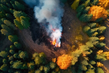 Fire in the forest in summer with smoke, natural disaster, cataclysm. AI generated.