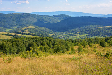 Fototapeta na wymiar grassy meadows on the hills of ukrainian highlands. carpathian countryside on a sunny summer afternoon