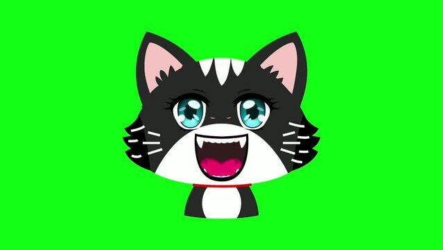 Animated funny cat facial expressions, cat sticker, on green screen background.