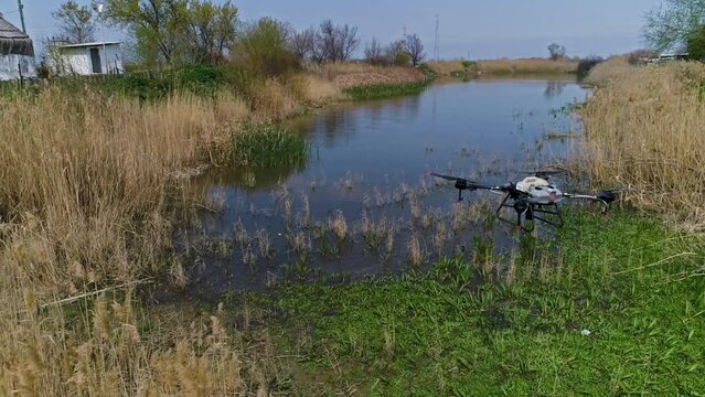 image of pest spraying with drone in the lake