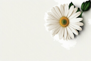 Fototapeta na wymiar Beautiful Flower Daisy Background - Flowers Backdrops Series - Daisy White Wallpaper created with Generative AI technology