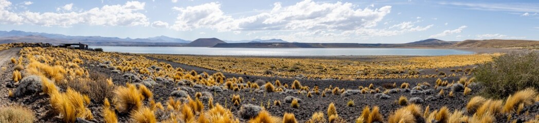 National Park Laguna Blanca in Neuquén, Argentina - Traveling South America - Panorama