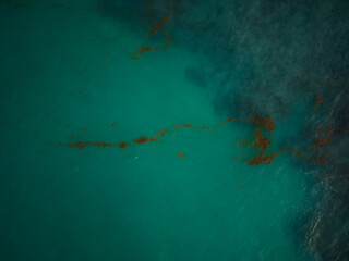 View from above. Algae in the sea. Clear turquoise sea water and seaweed. Nature, environmental protection, climate change, global warming.