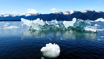 San Rafael Lagoon, North Ice Fields. Ais n Region, Chile