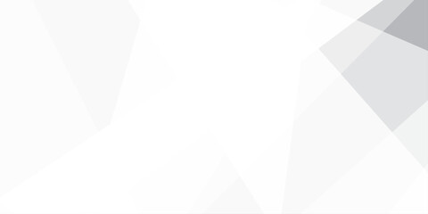 white and grey glossy squares abstract tech banner design .Geometric lines angles and triangle shapes Texture of an old surface .white crumpled paper, abstract geometric, luxury, with lines .Vector 