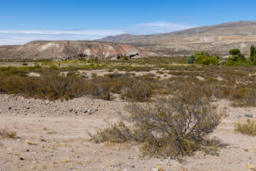 Landscape shot of the Argentinian Pampa in the Province Neuquén - Traveling South America