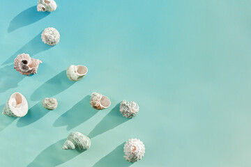 Top view summer background with shells at sunlight, seashell, conch on blue mint colored fon,...