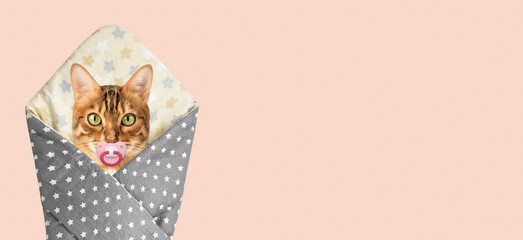 Funny red cat with a pacifier wrapped like babies.