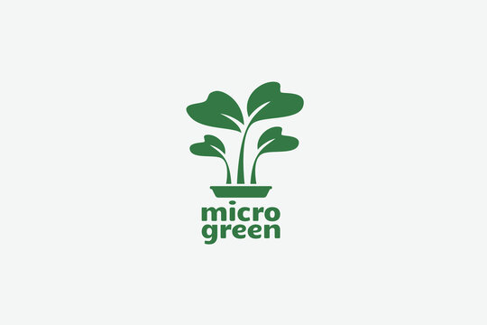 microgreen logo with vegetable sprouts as the icon.